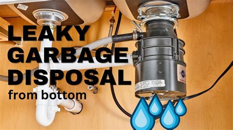 garbage disposal dripping from bottom|How to Fix a Garbage Disposal